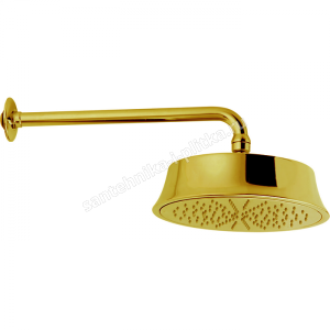 CISAL Shower Верхний душ D220 мм с настенным держателем L270 мм, цвет золото