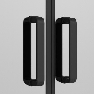 Душевая дверь Ambassador Forsa 100 17022216ABB профиль Черный стекло тонированное