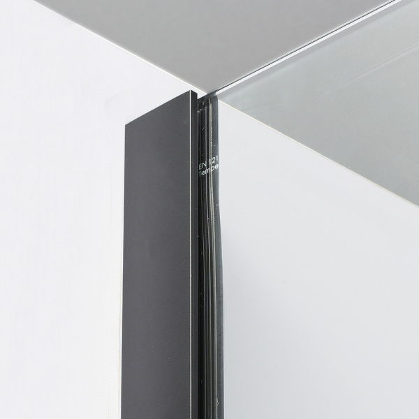 Душевая дверь WasserKRAFT Elbe 100 74P12 профиль Черный матовый стекло прозрачное