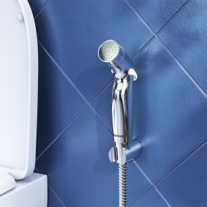 Гигиенический душ Damixa Shower program 760550200 Хром