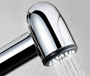 Гигиенический душ со смесителем WasserKRAFT Dill A06156 Хром
