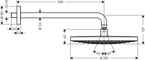 Верхний душ Hansgrohe Raindance Select S 30 27378000 Хром