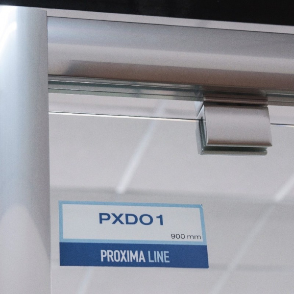 Душевая дверь Roltechnik Proxima PXDO1N/1100 525-1100000-00-02 прозрачное